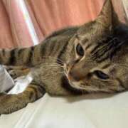 ヒメ日記 2025/11/06 14:35 投稿 ひびき ティンカーベル