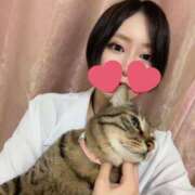 ヒメ日記 2025/11/11 12:08 投稿 ひびき ティンカーベル