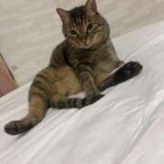 ヒメ日記 2025/11/13 17:16 投稿 ひびき ティンカーベル