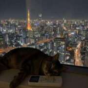 ヒメ日記 2025/11/29 19:05 投稿 ひびき ティンカーベル