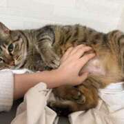 ヒメ日記 2025/11/30 18:54 投稿 ひびき ティンカーベル