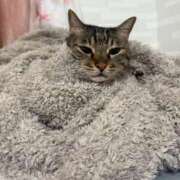 ヒメ日記 2025/12/01 01:11 投稿 ひびき ティンカーベル