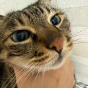 ひびき 終 ティンカーベル