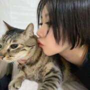 ヒメ日記 2025/12/07 17:31 投稿 ひびき ティンカーベル