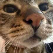 ヒメ日記 2025/12/09 14:44 投稿 ひびき ティンカーベル