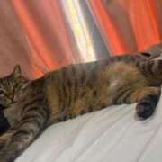 ヒメ日記 2025/12/22 09:27 投稿 ひびき ティンカーベル