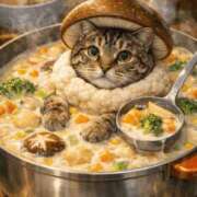 ヒメ日記 2025/12/24 16:23 投稿 ひびき ティンカーベル