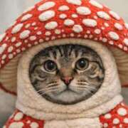 ヒメ日記 2025/12/26 19:44 投稿 ひびき ティンカーベル