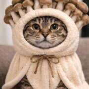 ヒメ日記 2025/12/29 04:01 投稿 ひびき ティンカーベル