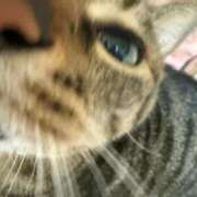 ひびき 2026年も ティンカーベル