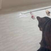 ヒメ日記 2026/01/06 23:36 投稿 ひびき ティンカーベル