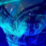 ヒメ日記 2026/01/11 15:31 投稿 ひびき ティンカーベル