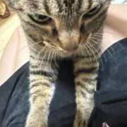 ヒメ日記 2026/01/20 13:28 投稿 ひびき ティンカーベル