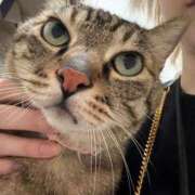 ヒメ日記 2026/01/23 18:42 投稿 ひびき ティンカーベル