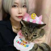 ヒメ日記 2026/01/26 14:59 投稿 ひびき ティンカーベル