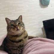 ヒメ日記 2026/01/28 16:52 投稿 ひびき ティンカーベル