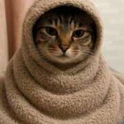 ヒメ日記 2026/01/31 18:38 投稿 ひびき ティンカーベル