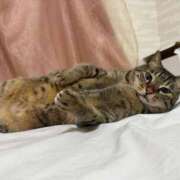 ヒメ日記 2026/02/03 12:39 投稿 ひびき ティンカーベル