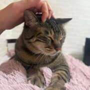 ヒメ日記 2026/02/12 15:24 投稿 ひびき ティンカーベル