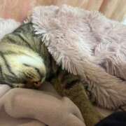 ヒメ日記 2026/02/18 00:44 投稿 ひびき ティンカーベル