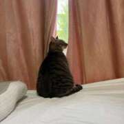 ヒメ日記 2026/03/12 16:37 投稿 ひびき ティンカーベル