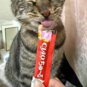 ヒメ日記 2026/03/22 22:59 投稿 ひびき ティンカーベル