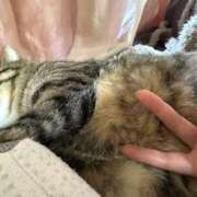 ヒメ日記 2026/03/24 15:57 投稿 ひびき ティンカーベル