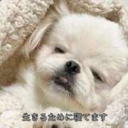 ヒメ日記 2025/09/06 19:34 投稿 クロミ ティンカーベル