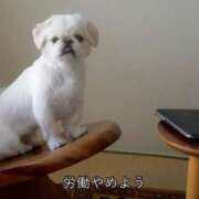 ヒメ日記 2025/09/08 17:39 投稿 クロミ ティンカーベル