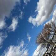 ヒメ日記 2025/12/22 12:06 投稿 クロミ ティンカーベル