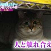 ヒメ日記 2026/03/01 19:15 投稿 クロミ ティンカーベル