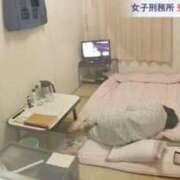 ヒメ日記 2026/06/14 15:07 投稿 クロミ ティンカーベル