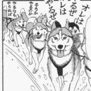 ヒメ日記 2026/07/20 14:14 投稿 クロミ ティンカーベル