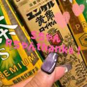 ヒメ日記 2025/10/31 01:00 投稿 セリにゃん ティンカーベル