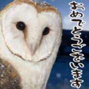 セリにゃん 2025年のお礼と新年のご挨拶♡ ティンカーベル