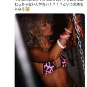 ヒメ日記 2026/01/30 10:29 投稿 セリにゃん ティンカーベル