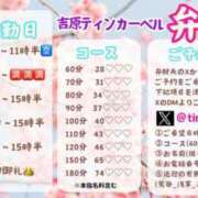 ヒメ日記 2025/04/09 19:57 投稿 弁財天 ティンカーベル