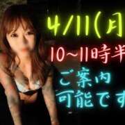 ヒメ日記 2025/04/10 21:31 投稿 弁財天 ティンカーベル