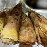 ヒメ日記 2025/04/14 20:26 投稿 弁財天 ティンカーベル