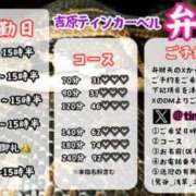 ヒメ日記 2025/04/22 14:39 投稿 弁財天 ティンカーベル