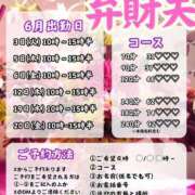 ヒメ日記 2025/05/26 19:52 投稿 弁財天 ティンカーベル