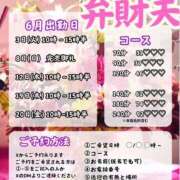 ヒメ日記 2025/05/30 23:30 投稿 弁財天 ティンカーベル