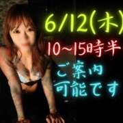 ヒメ日記 2025/06/11 21:39 投稿 弁財天 ティンカーベル