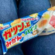 ヒメ日記 2025/06/18 16:54 投稿 弁財天 ティンカーベル