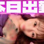 ヒメ日記 2025/07/01 12:03 投稿 弁財天 ティンカーベル