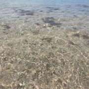 ヒメ日記 2025/07/20 07:00 投稿 弁財天 ティンカーベル