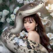 ヒメ日記 2025/07/24 17:01 投稿 弁財天 ティンカーベル