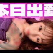 ヒメ日記 2025/08/16 09:28 投稿 弁財天 ティンカーベル