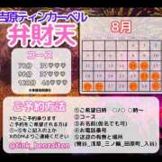 ヒメ日記 2025/08/19 21:40 投稿 弁財天 ティンカーベル