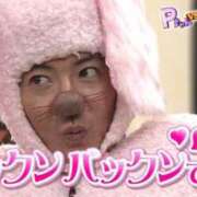 ヒメ日記 2025/11/02 05:02 投稿 ラムネ ティンカーベル